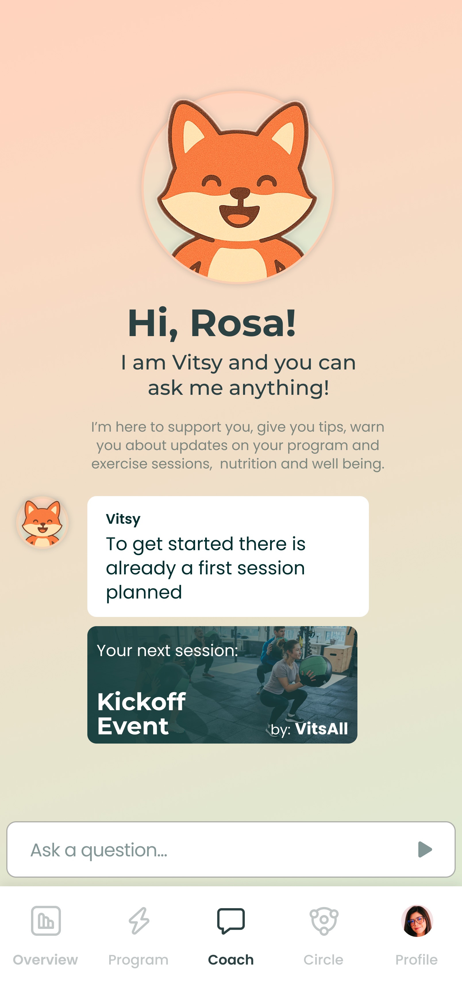 Vitsy AI Buddy Interface